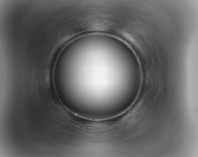 X0000089681307200707051559
