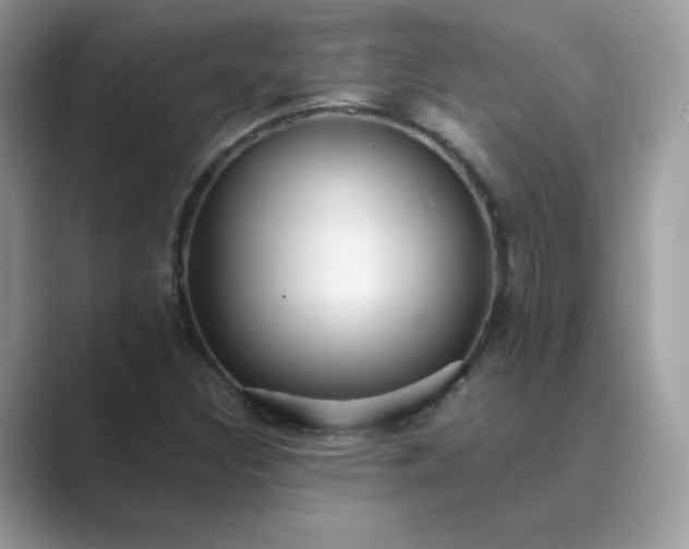 X0000089681308200707051559