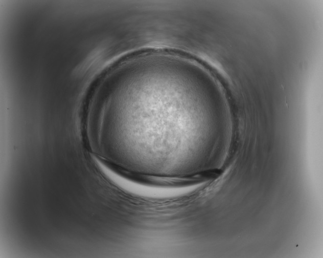 X0000089681311200707051559