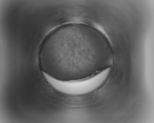 X0000089681312200707051559