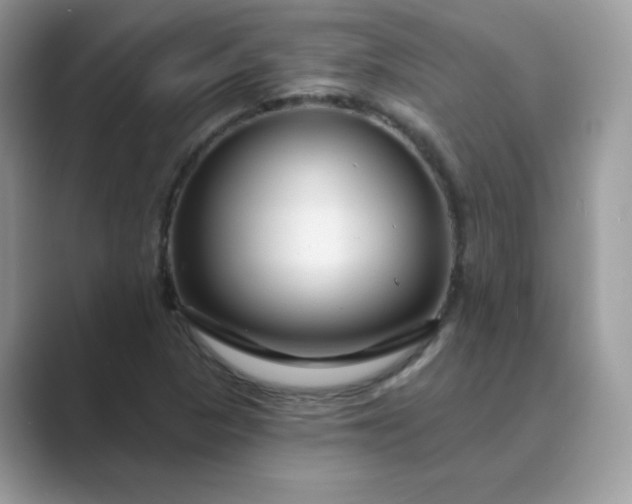 X0000089681313200707051559