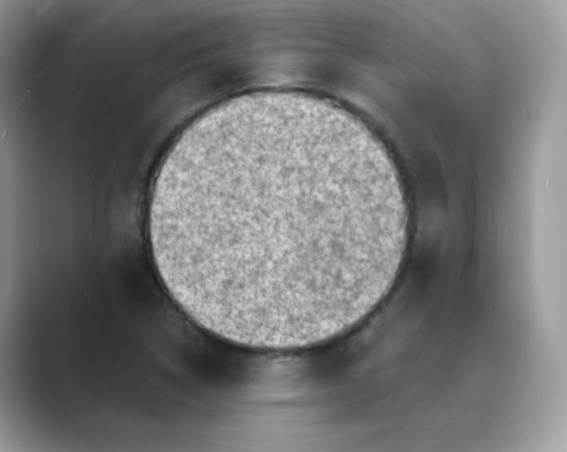 X0000089681314200707051559
