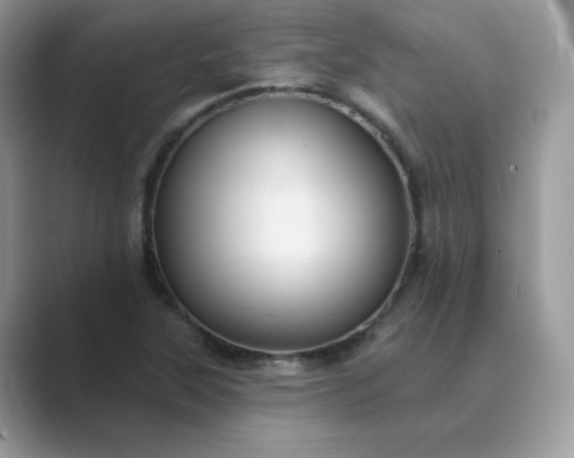X0000089681315200707051559