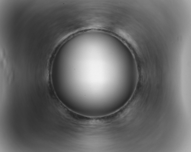 X0000089681316200707051559