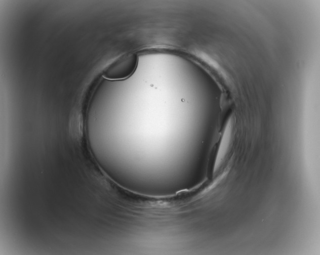 X0000089681317200707051559