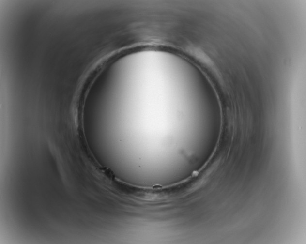 X0000089681318200707051559
