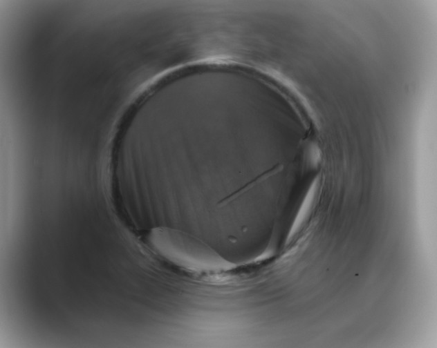 X0000089681319200707051559