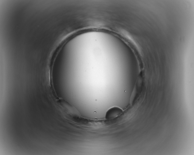 X0000089681320200707051559