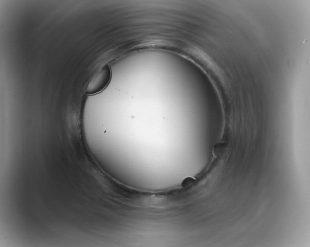 X0000089681321200707051559