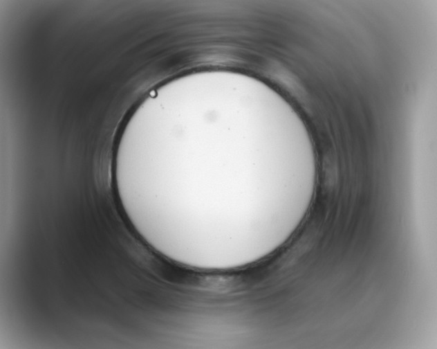 X0000089681322200707051559