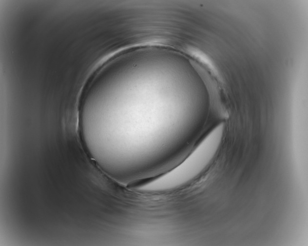 X0000089681324200707051559