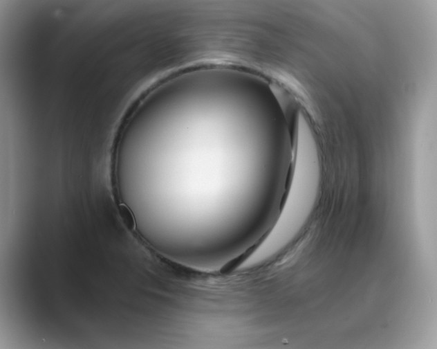 X0000089681326200707051559