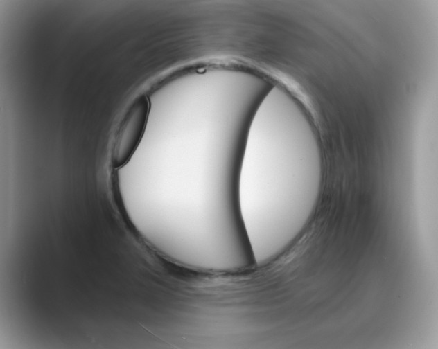X0000089681327200707051559