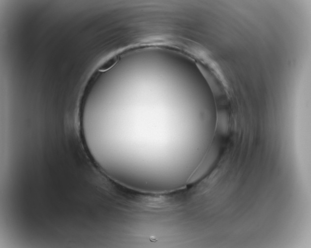 X0000089681328200707051559