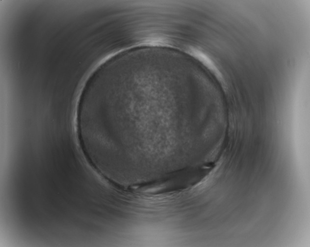 X0000089681331200707051559