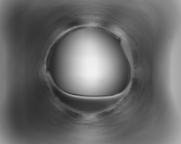 X0000089681332200707051559