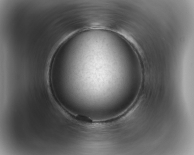 X0000089681333200707051559