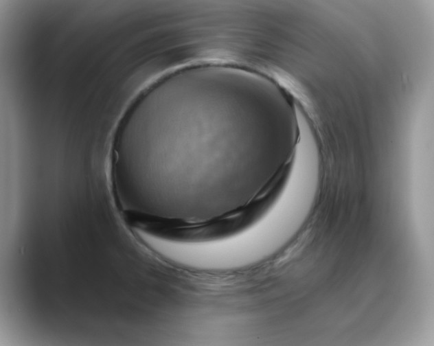 X0000089681334200707051559