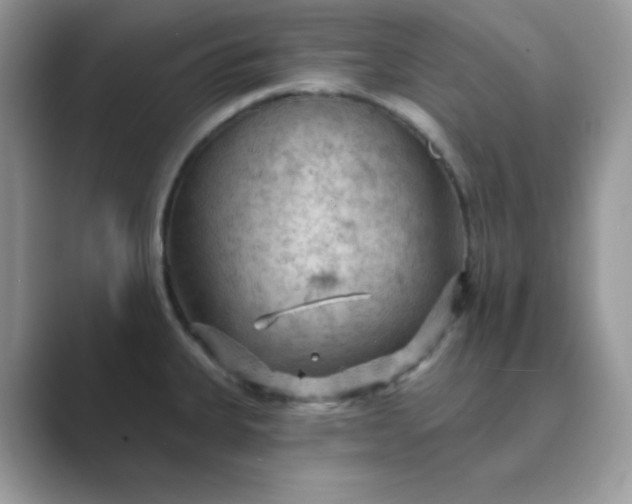 X0000089681335200707051559