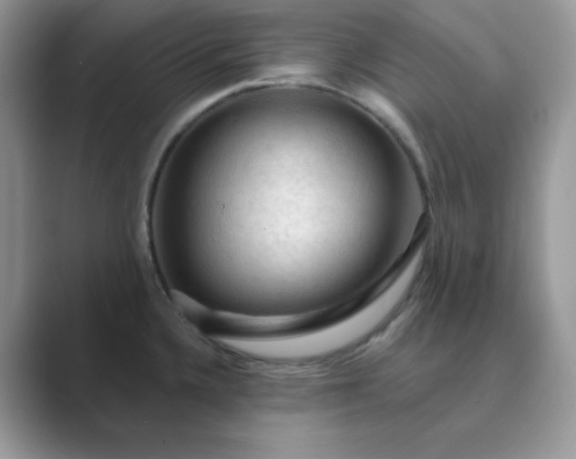X0000089681336200707051559