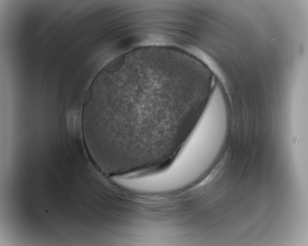 X0000089681337200707051559
