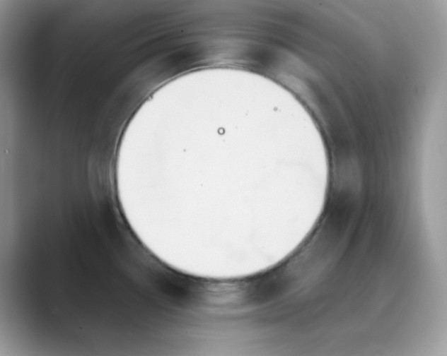 X0000089681338200707051559