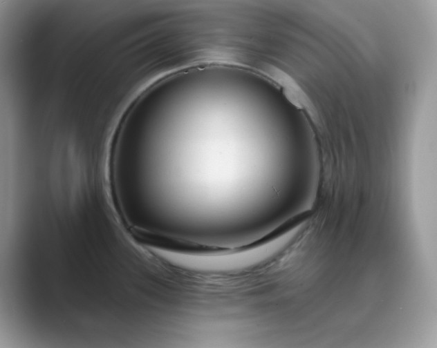 X0000089681339200707051559