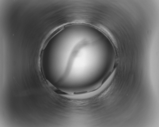 X0000089681340200707051559