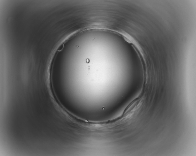 X0000089681341200707051559