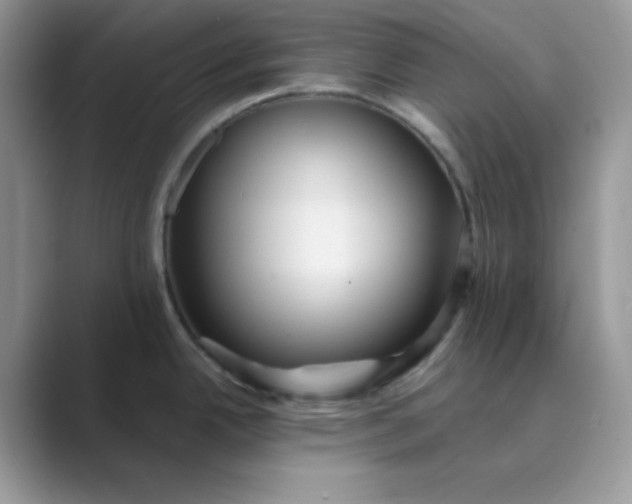 X0000089681342200707051600