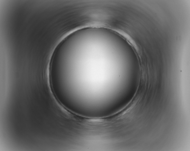 X0000089681343200707051600