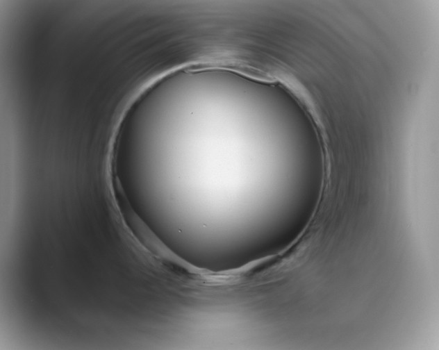 X0000089681344200707051600