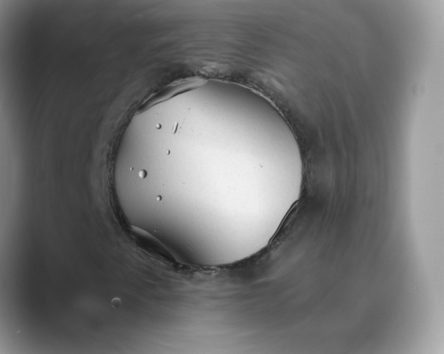 X0000089681345200707051559