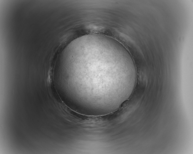 X0000089681346200707051559