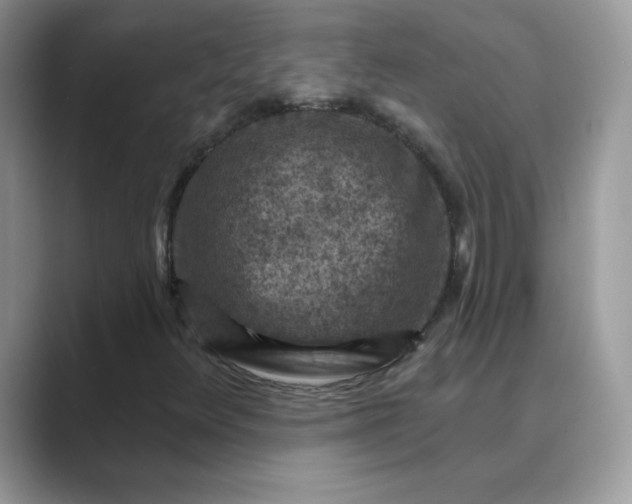 X0000089681348200707051559