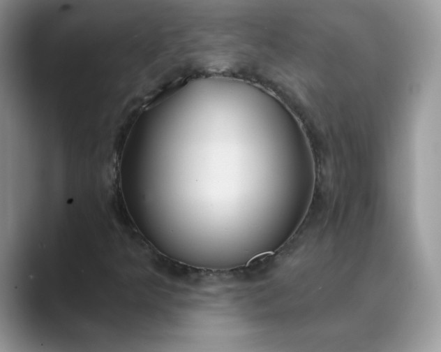 X0000089681349200707051559