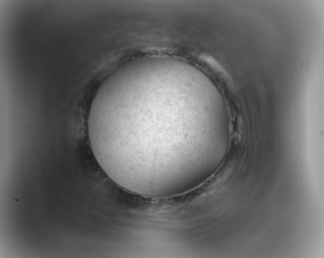X0000089681350200707051559