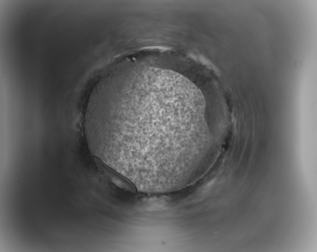 X0000089681351200707051559