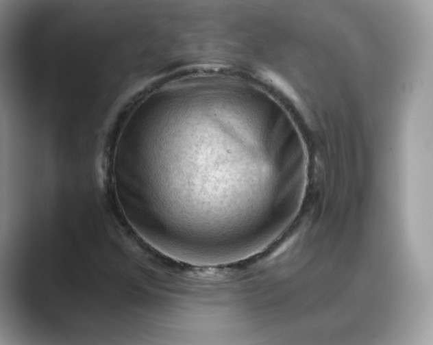 X0000089681352200707051559