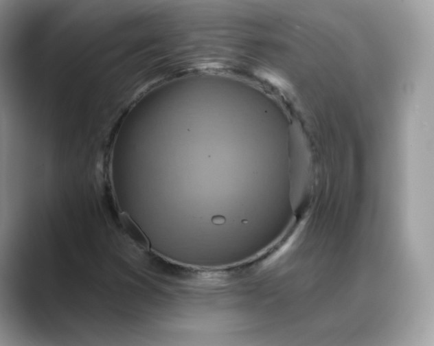 X0000089681353200707051559
