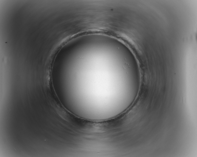 X0000089681355200707051559