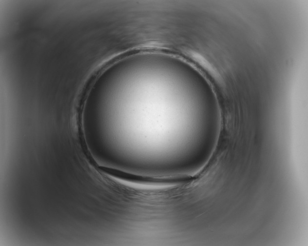 X0000089681356200707051559