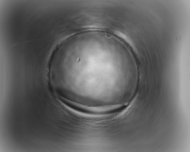 X0000089681357200707051559