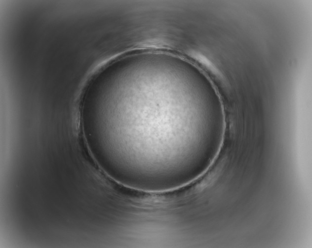 X0000089681358200707051559