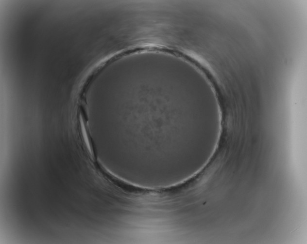 X0000089681359200707051559