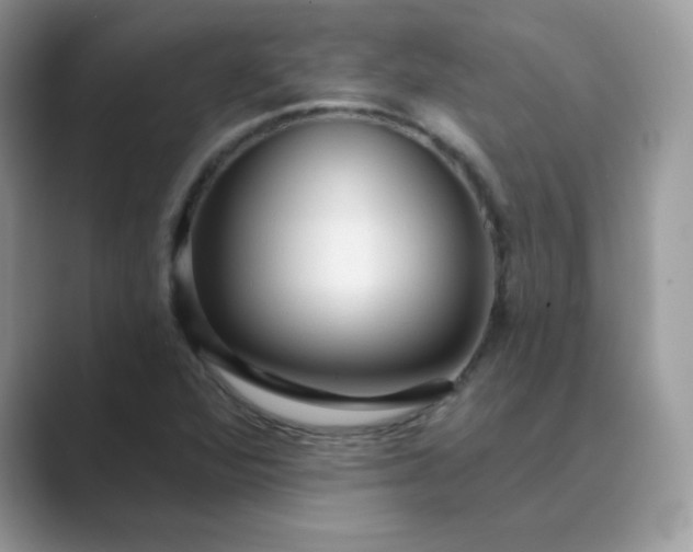 X0000089681360200707051559