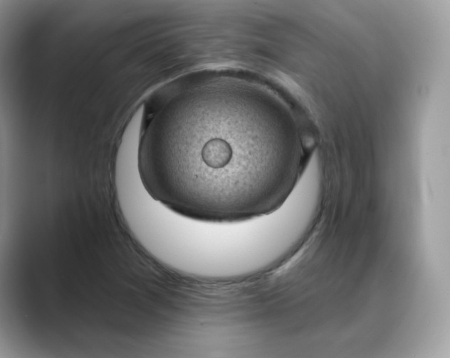 X0000089681361200707051559