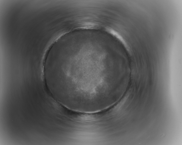 X0000089681362200707051559