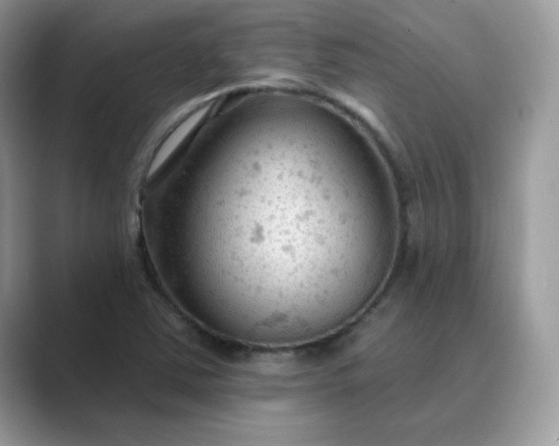 X0000089681363200707051559