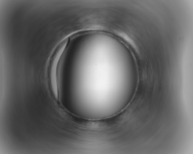 X0000089681364200707051559